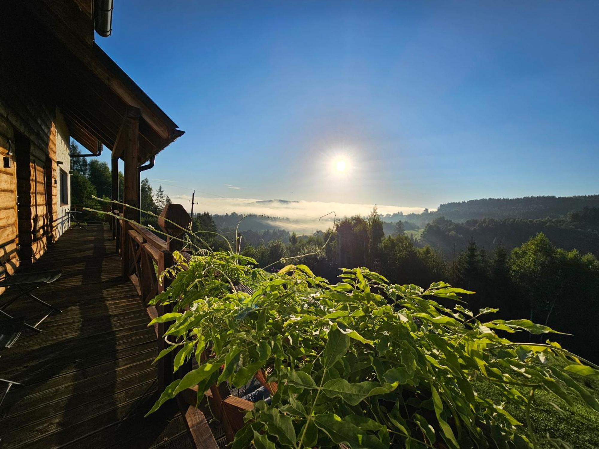 Chata W Bieszczadzie Apartamenty I Domki Z Basenem Bieszczady Polańczyk Exterior foto