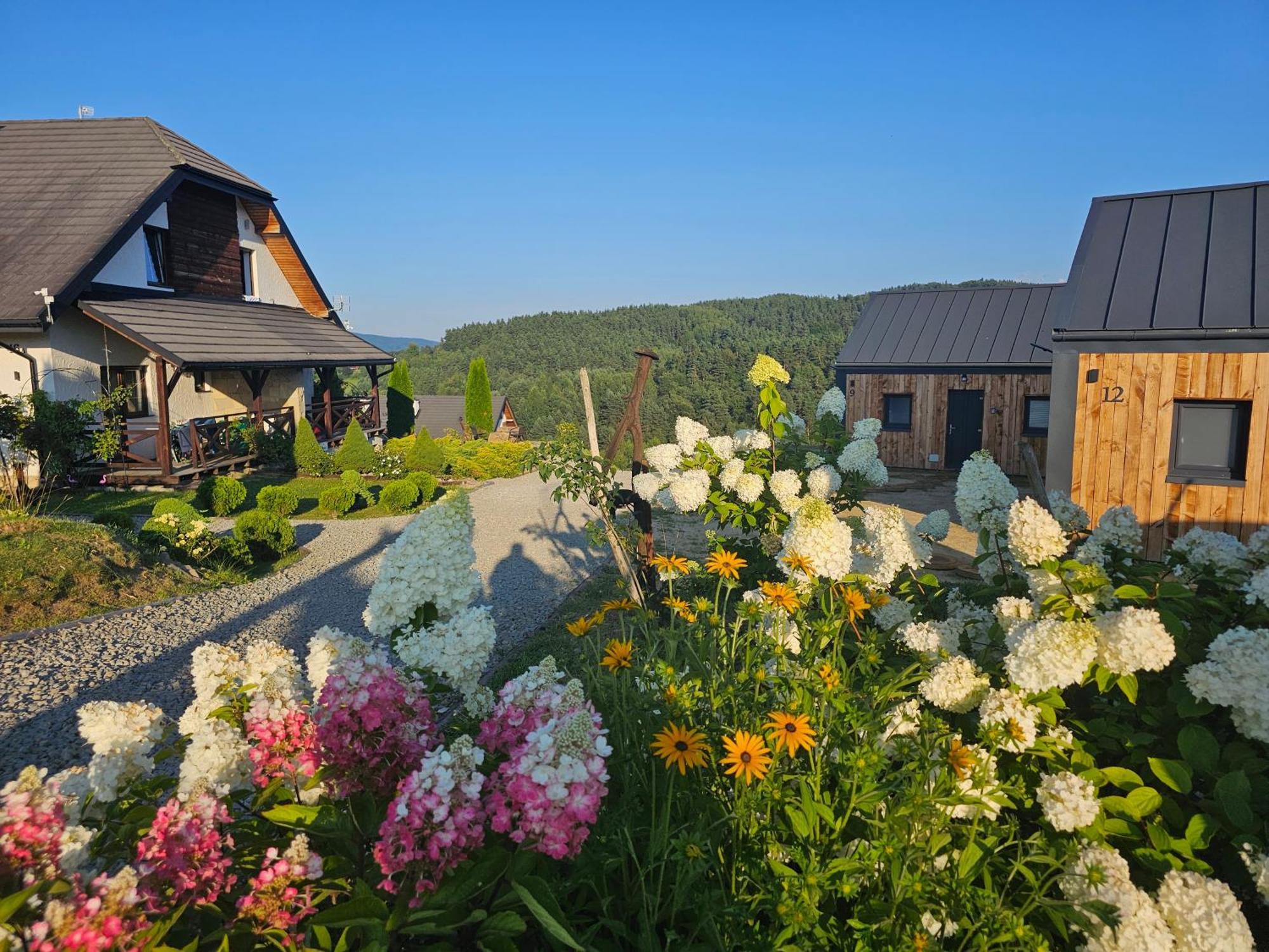 Chata W Bieszczadzie Apartamenty I Domki Z Basenem Bieszczady Polańczyk Exterior foto