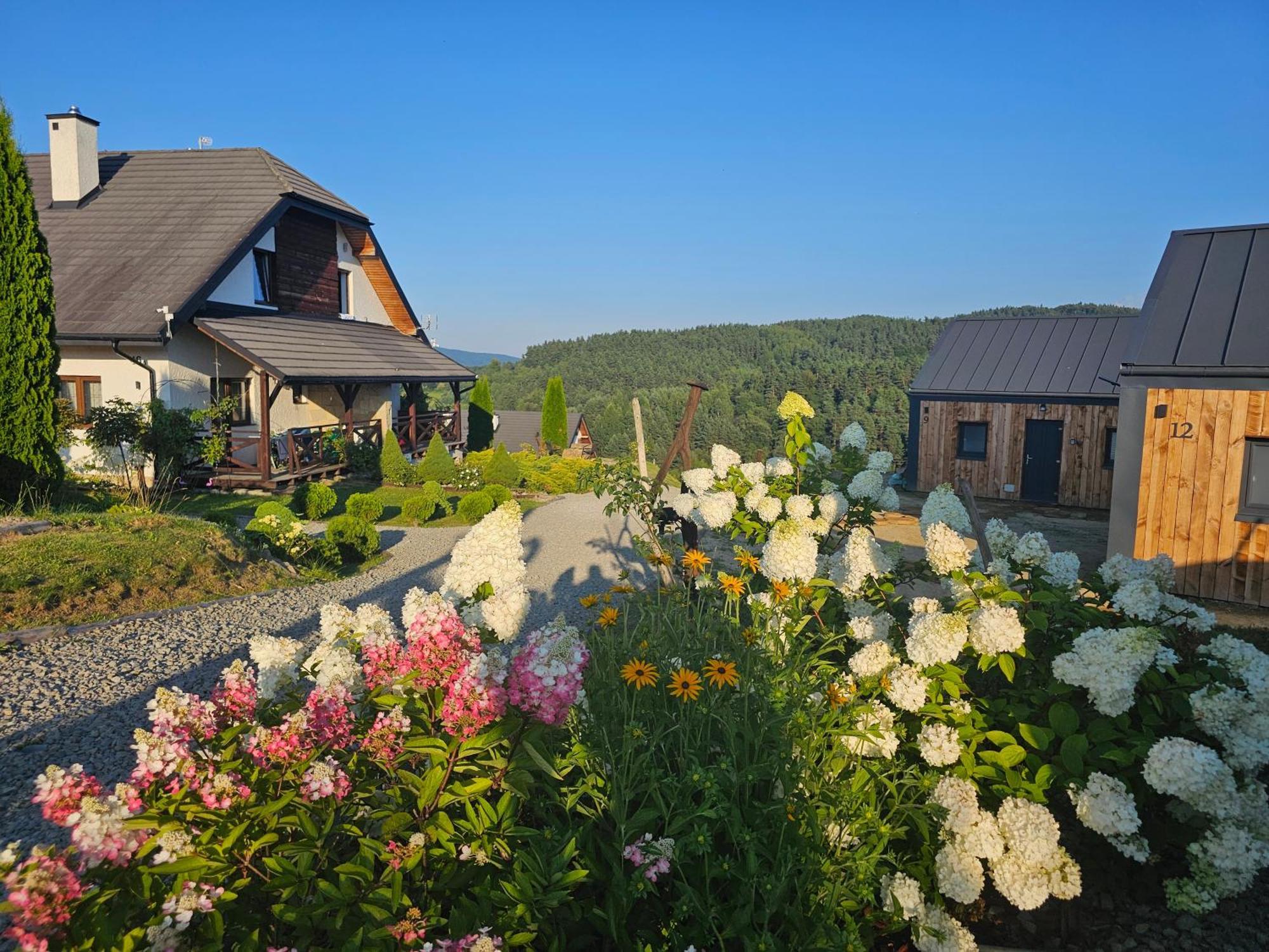 Chata W Bieszczadzie Apartamenty I Domki Z Basenem Bieszczady Polańczyk Exterior foto